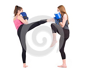 Kickboxing girls fight