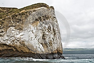 Kicker Rock Close-up, Galapagos