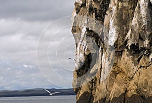 Kicker Rock, Galapagos