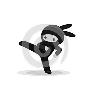 Kicking cute bunny ninja isolated on white background