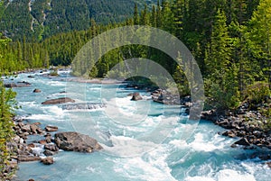 Kicking horse river