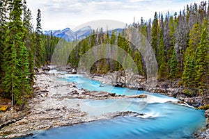 Kicking Horse River in Yoho National Park, Canada