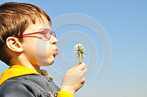 Kid blowing dandelion