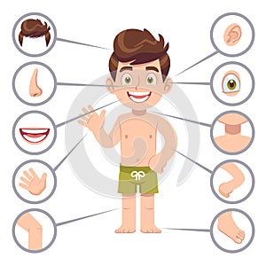 Kid body parts. Human child boy with eye, nose and chest, head. Knee, legs and arms cartoon preschool education vector