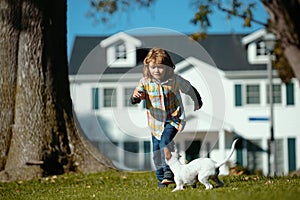 Kid boy with dog walking and running outdoor. Child with a pet runs to race. Young boy runs in a green Young boy runs in