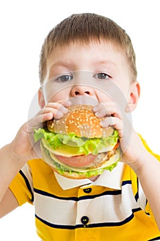 Kid boy eating delicious hamburger isolated