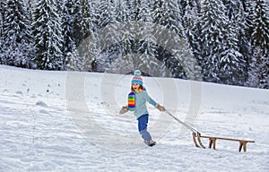 Kid boy enjoy a sleigh ride. Kid sledding in winter snow outdoor. Christmas family vacation. Child boy ride on a wooden