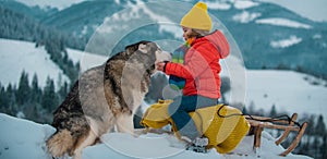 Kid boy with husky dog enjoy a sleigh ride. Kid sledding in winter snow outdoor. Christmas family vacation. Child boy