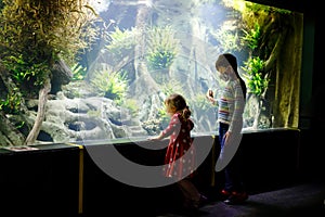 Kid boy and toddler girl visiting together zoo aquarium. Two children watching fishes, corals and jellyfishes. School