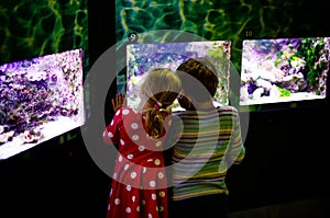 Kid boy and toddler girl visiting together zoo aquarium. Two children watching fishes, corals and jellyfishes. School