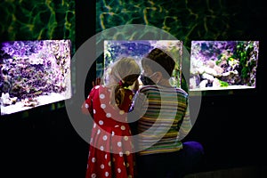 Kid boy and toddler girl visiting together zoo aquarium. Two children watching fishes, corals and jellyfishes. School