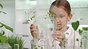 Kid in Chemistry Lab, School Child in Science Growing Seedling Plants, Student G