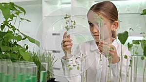 Kid in Chemistry Lab, School Child in Science Growing Seedling Plants, Student Girl Studying Biology Class