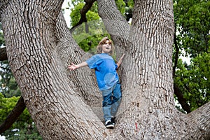 Kid climbing up an tree. Little blond boy enjoying climbing on tree. Toddler children learning to climb, having fun in