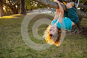 Kid climbs a tree. Funny climbing boy. Happy boy enjoying summer day in a garden.