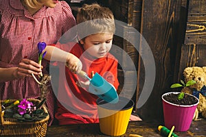 Kid concept. Kid learn planting flower in pot with soil. Little kid potting plants. Adorable kid with gardening tools