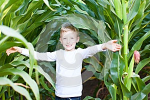 Kid in corn maze