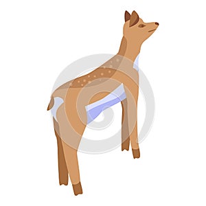 Kid doe icon, isometric style