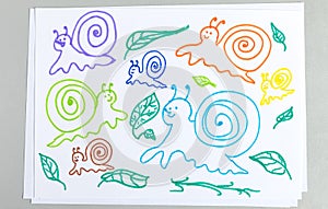 Kid drawings set of different snails and plant leaves