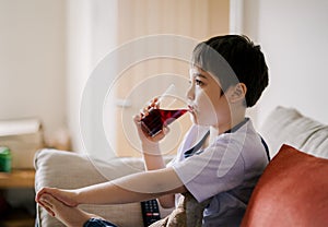 Kid drinking cranberry juice from  glass while watching TV, Healthy 7 year old boy sitting on sofa drinking glass of fresh fruits