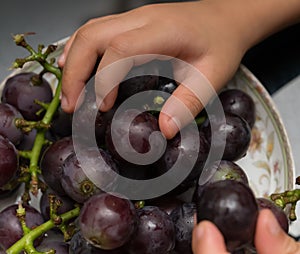 Kid eating grapes