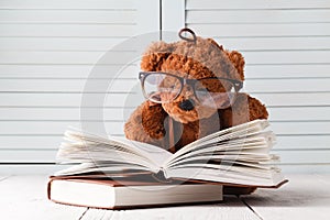 Kid education concept, eddy bear with book