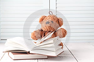 Kid education concept, eddy bear with book