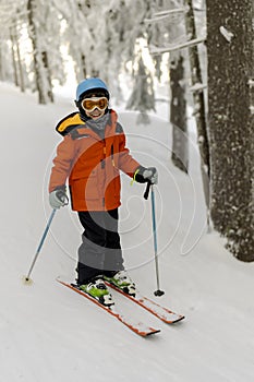 Kid Enjoying Ski in Forest