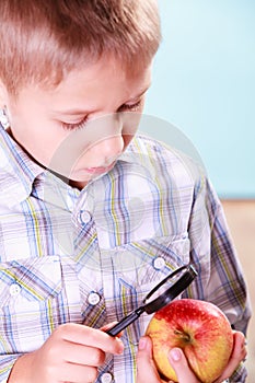 Kid examine apple with magnifying glass.