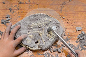 Kid excavating dinosaur bones