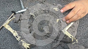 Kid excavating dinosaur bones from a rock