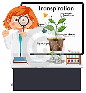 Kid explaining plant transpiration