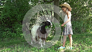 Kid Feeding Goat in Courtyard, Farmer Cowboy Child Pasturing Animals in Field, Girl with Animals in Garden