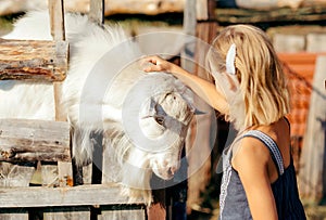 kid feeding little goats and sheeps on farm. child petting animals in the zoo. Excited and happy kid on family weekend