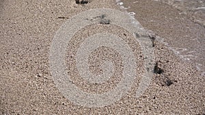 Kid Feet Walking, Playing on Beach at Sunset, Child Footsteps in Sea Waves, Girl Footprints on Send on Seashore, Summer Vacation