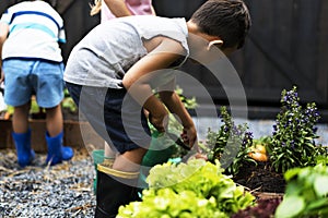 Kid in a garden experience and idea