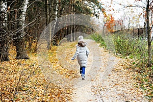 KId girl in the autumn forest