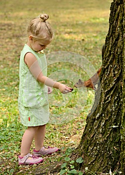 Kid girl feeds squirrel