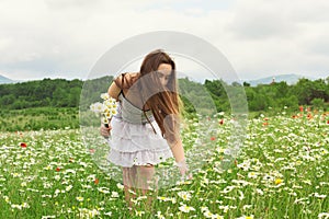 Kid girl picking flowers on the meadow