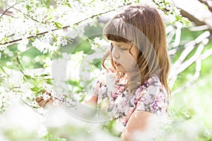 Kid girl playing with blossoming, spring, outdoors