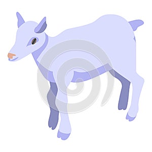Kid goat icon, isometric style