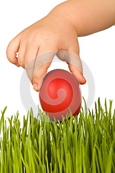 Kid hand holding red easter egg over green grass