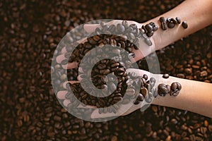 Kid hand holding roasted coffee beans