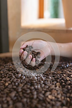 Kid hand holding roasted coffee beans