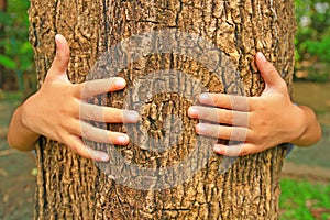 Abbracciare un albero valigia 