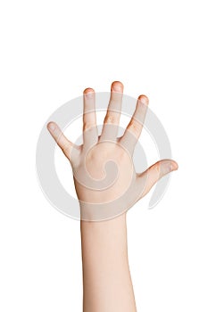 Kid hand shows number five on white background