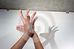 Kid hands creating silhouette shadow of deer on white wall background