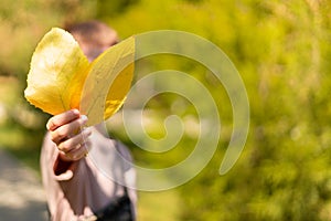 Kid holding autumns yellow leaves in hand. Close his face. Copy space