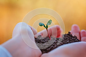 Kid holding new sprout in hands. Symbol of new life and ecology concept.