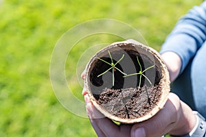 Kid holding a pot with starting plants